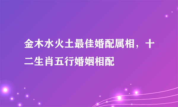 金木水火土最佳婚配属相，十二生肖五行婚姻相配