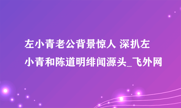 左小青老公背景惊人 深扒左小青和陈道明绯闻源头_飞外网