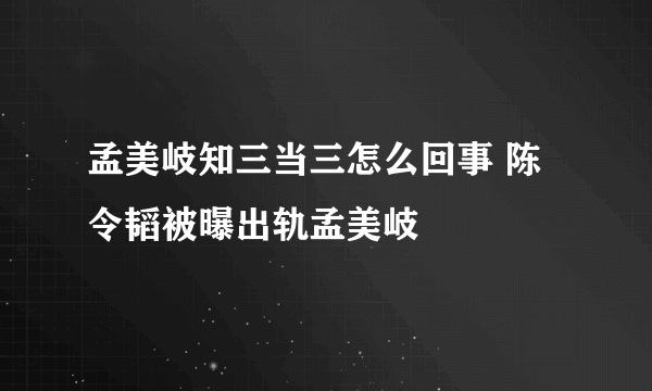 孟美岐知三当三怎么回事 陈令韬被曝出轨孟美岐