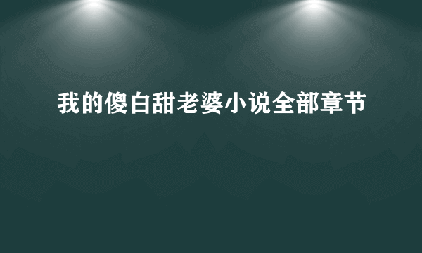 我的傻白甜老婆小说全部章节