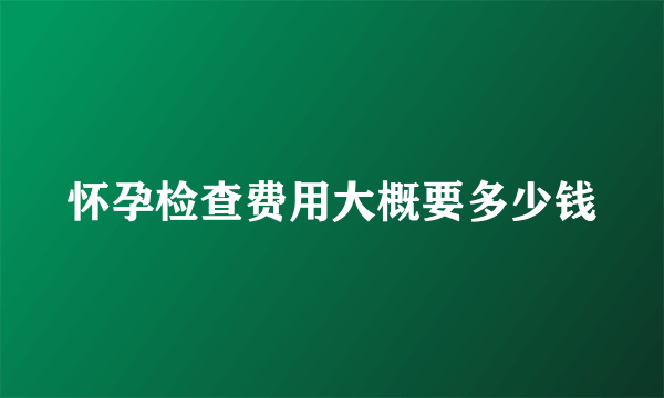 怀孕检查费用大概要多少钱