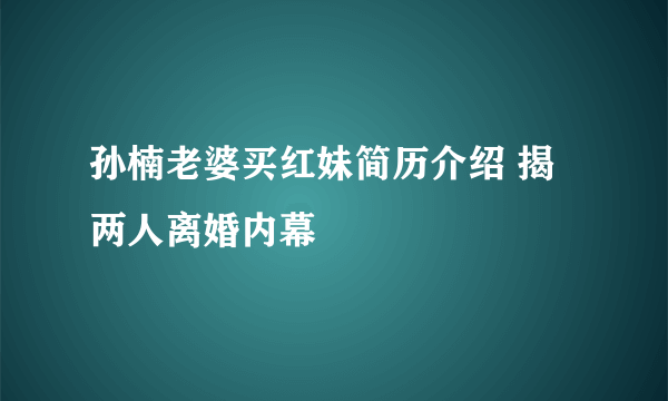 孙楠老婆买红妹简历介绍 揭两人离婚内幕