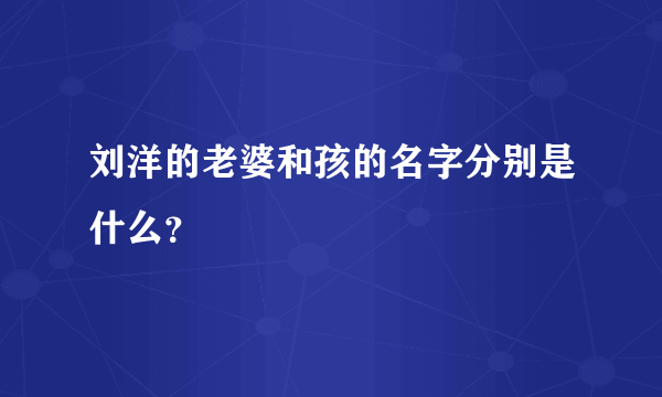 刘洋的老婆和孩的名字分别是什么？