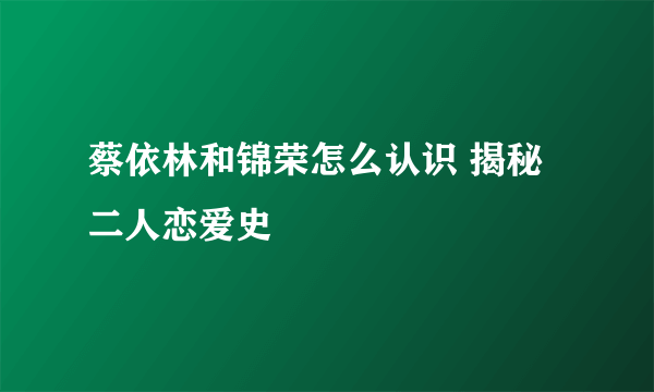 蔡依林和锦荣怎么认识 揭秘二人恋爱史