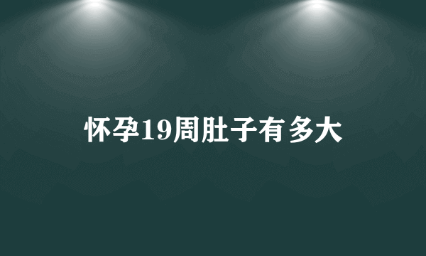 怀孕19周肚子有多大