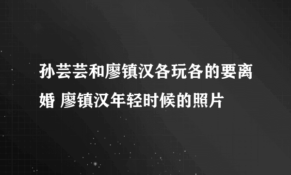 孙芸芸和廖镇汉各玩各的要离婚 廖镇汉年轻时候的照片