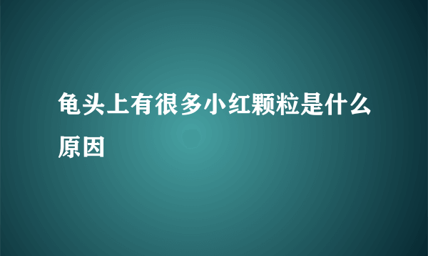 龟头上有很多小红颗粒是什么原因