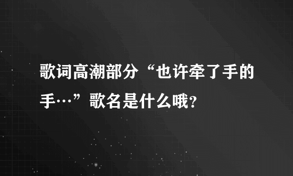 歌词高潮部分“也许牵了手的手…”歌名是什么哦？