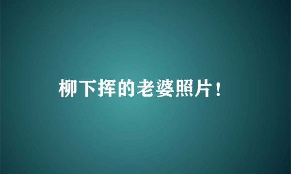 柳下挥的老婆照片！