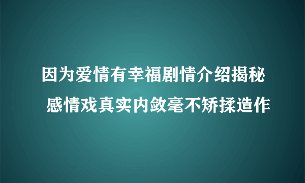 因为爱情有幸福剧情介绍揭秘 感情戏真实内敛毫不矫揉造作