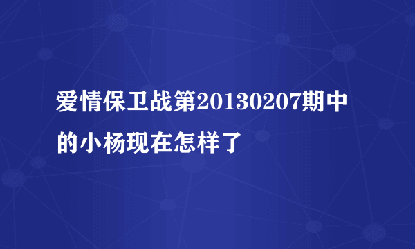 爱情保卫战第20130207期中的小杨现在怎样了