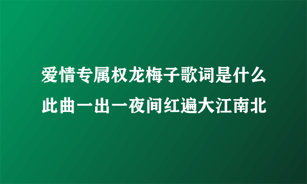 爱情专属权龙梅子歌词是什么此曲一出一夜间红遍大江南北