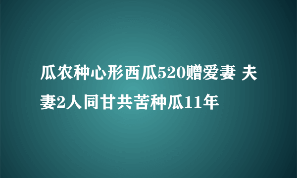 瓜农种心形西瓜520赠爱妻 夫妻2人同甘共苦种瓜11年