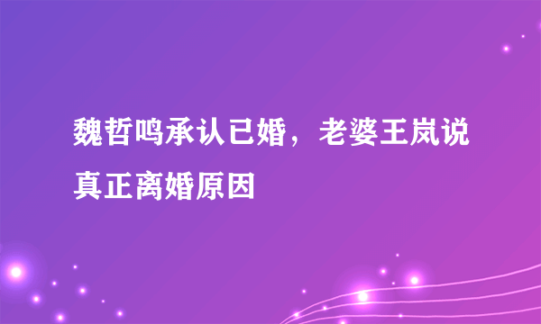 魏哲鸣承认已婚，老婆王岚说真正离婚原因