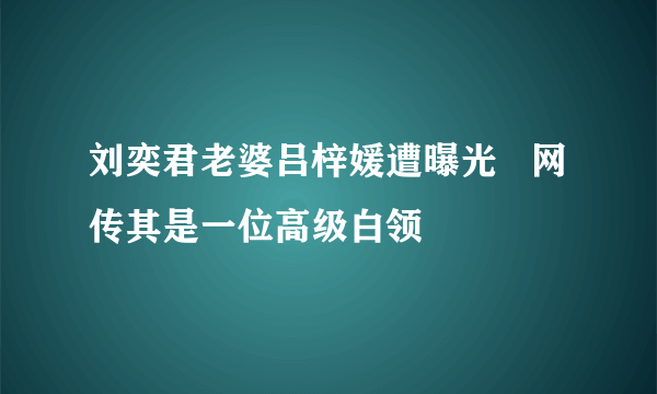 刘奕君老婆吕梓媛遭曝光   网传其是一位高级白领