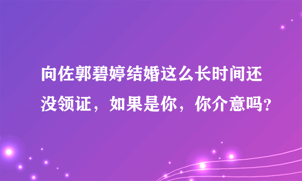 向佐郭碧婷结婚这么长时间还没领证，如果是你，你介意吗？