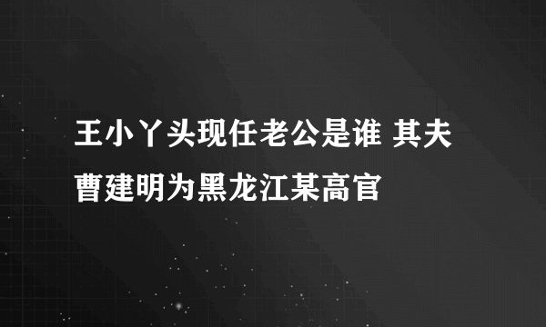 王小丫头现任老公是谁 其夫曹建明为黑龙江某高官