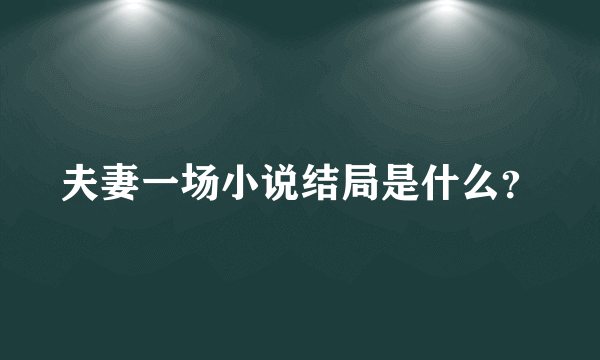 夫妻一场小说结局是什么？