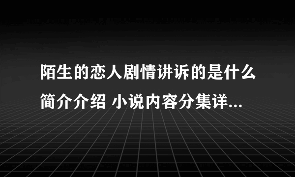 陌生的恋人剧情讲诉的是什么简介介绍 小说内容分集详细解析结局一览