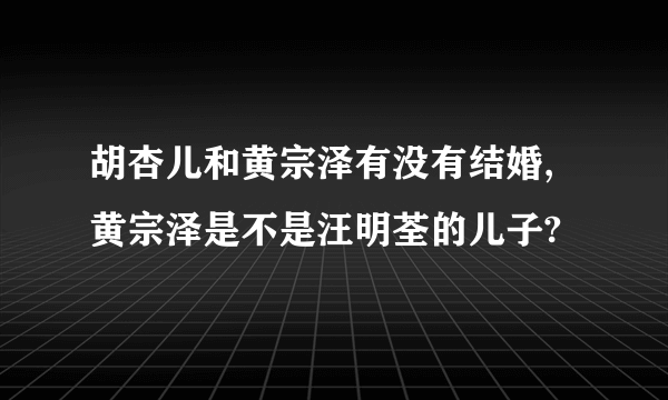 胡杏儿和黄宗泽有没有结婚,黄宗泽是不是汪明荃的儿子?