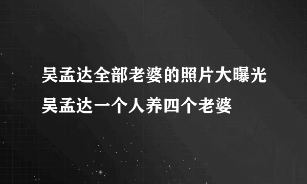 吴孟达全部老婆的照片大曝光吴孟达一个人养四个老婆