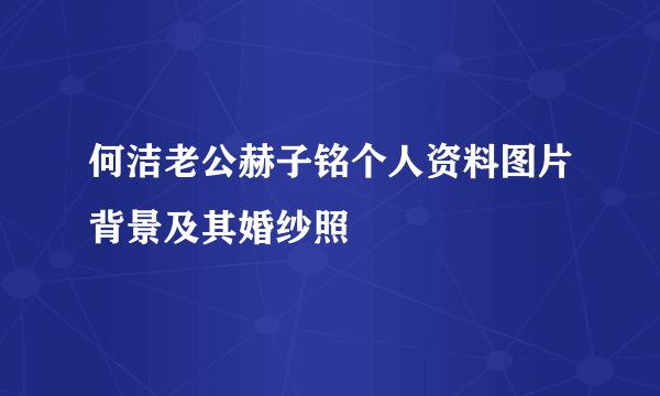 何洁老公赫子铭个人资料图片背景及其婚纱照