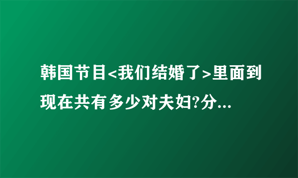 韩国节目<我们结婚了>里面到现在共有多少对夫妇?分别叫什么?