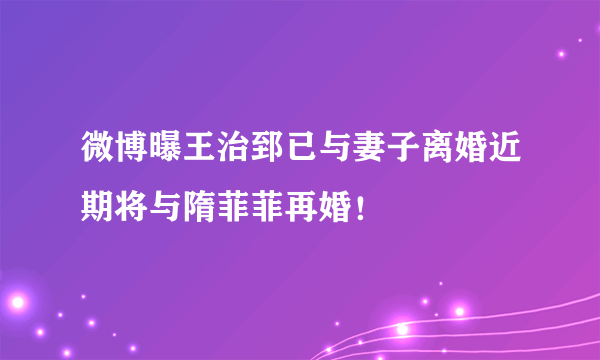 微博曝王治郅已与妻子离婚近期将与隋菲菲再婚！