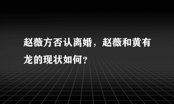 赵薇方否认离婚，赵薇和黄有龙的现状如何？