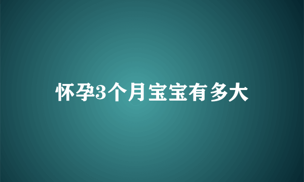 怀孕3个月宝宝有多大