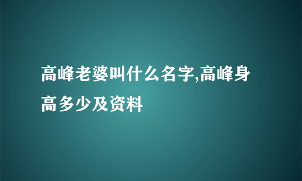 高峰老婆叫什么名字,高峰身高多少及资料