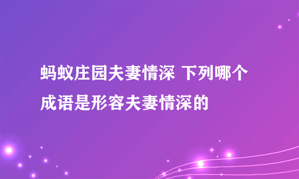 蚂蚁庄园夫妻情深 下列哪个成语是形容夫妻情深的