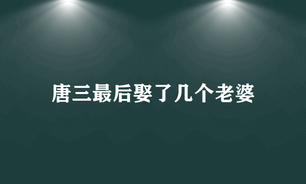 唐三最后娶了几个老婆