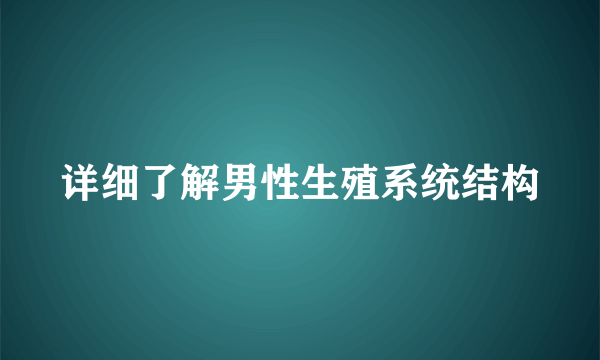 详细了解男性生殖系统结构