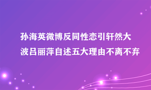 孙海英微博反同性恋引轩然大波吕丽萍自述五大理由不离不弃