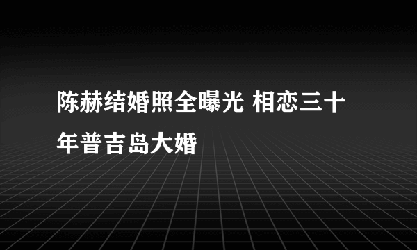 陈赫结婚照全曝光 相恋三十年普吉岛大婚