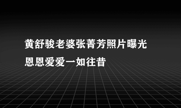 黄舒骏老婆张菁芳照片曝光 恩恩爱爱一如往昔