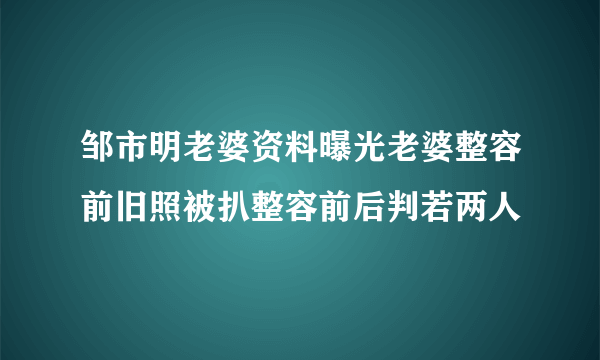 邹市明老婆资料曝光老婆整容前旧照被扒整容前后判若两人