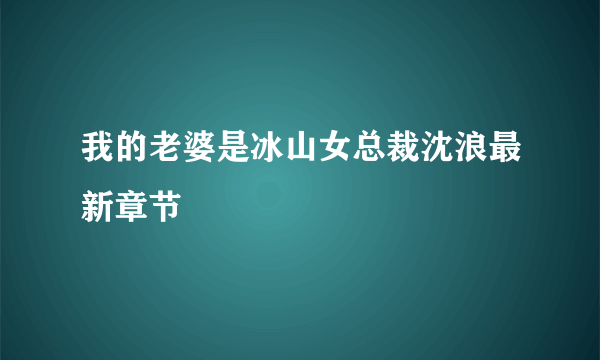 我的老婆是冰山女总裁沈浪最新章节