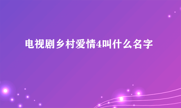 电视剧乡村爱情4叫什么名字