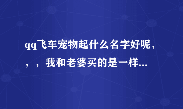 qq飞车宠物起什么名字好呢，，，我和老婆买的是一样的，宠物是丘比特，要情侣的宠物名