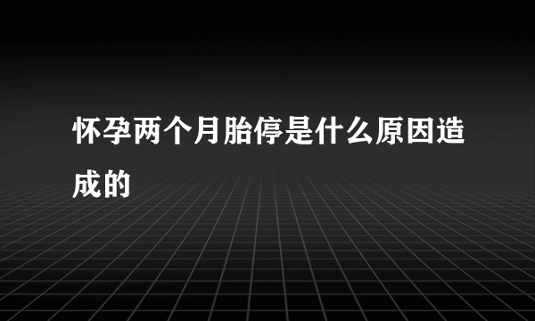 怀孕两个月胎停是什么原因造成的