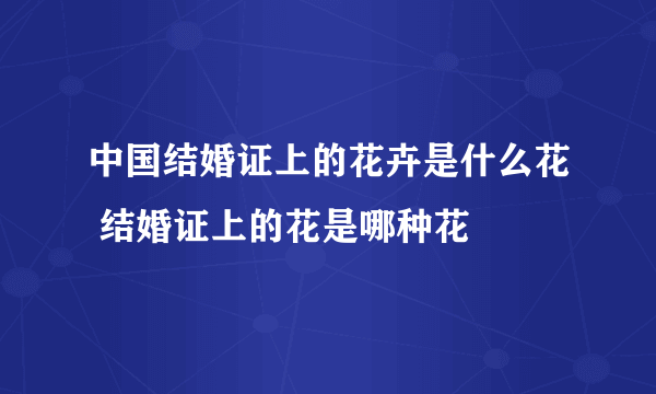 中国结婚证上的花卉是什么花 结婚证上的花是哪种花