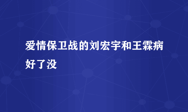 爱情保卫战的刘宏宇和王霖病好了没