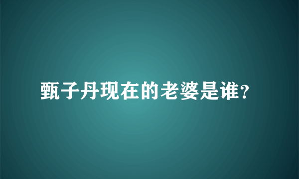 甄子丹现在的老婆是谁？