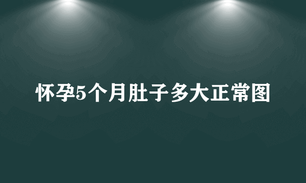 怀孕5个月肚子多大正常图