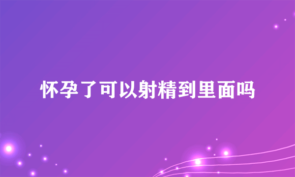 怀孕了可以射精到里面吗