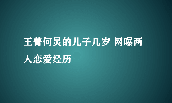 王菁何炅的儿子几岁 网曝两人恋爱经历