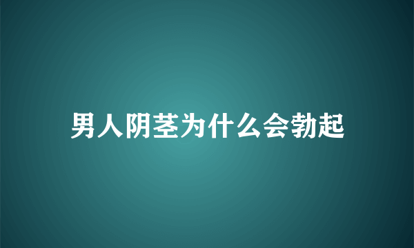 男人阴茎为什么会勃起