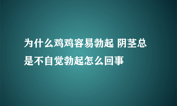 为什么鸡鸡容易勃起 阴茎总是不自觉勃起怎么回事